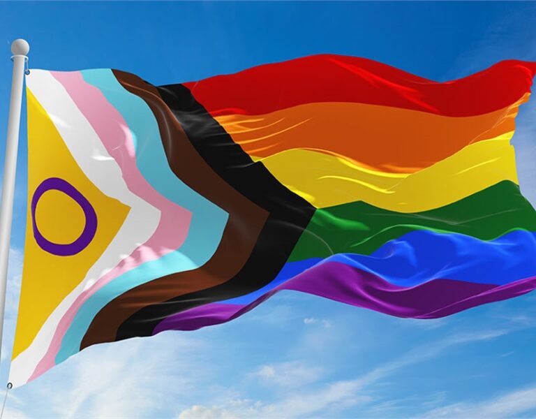 progress flag with intersex symbol,chevron on the left edge made up of a black and a brown stripe plus pink, baby blue and white